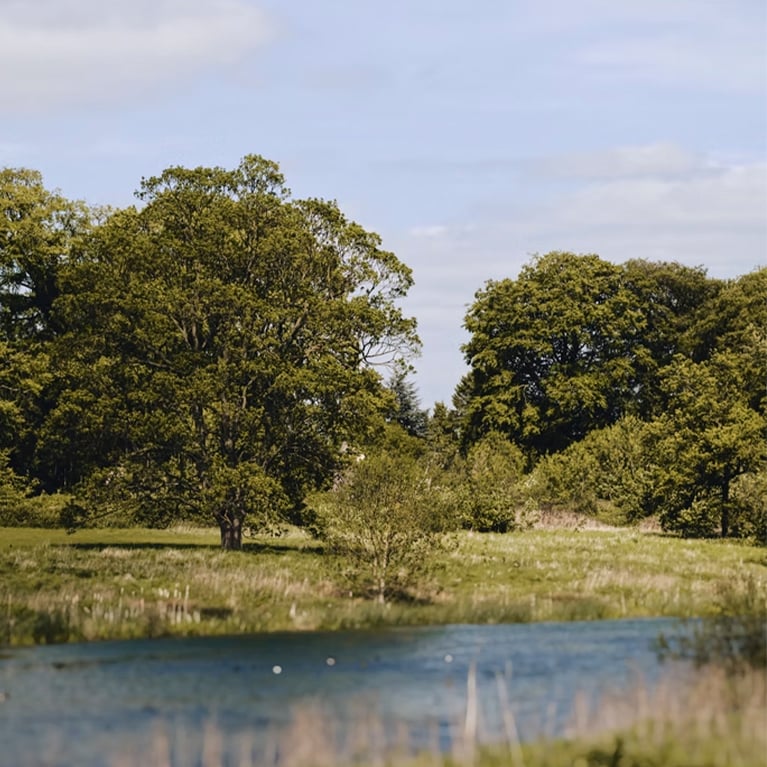 The Vedanta Branston grounds The Vedanta Branston grounds