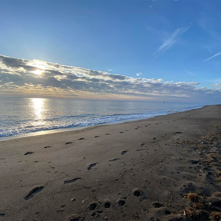 Anderby Creek Beach Anderby Creek Beach