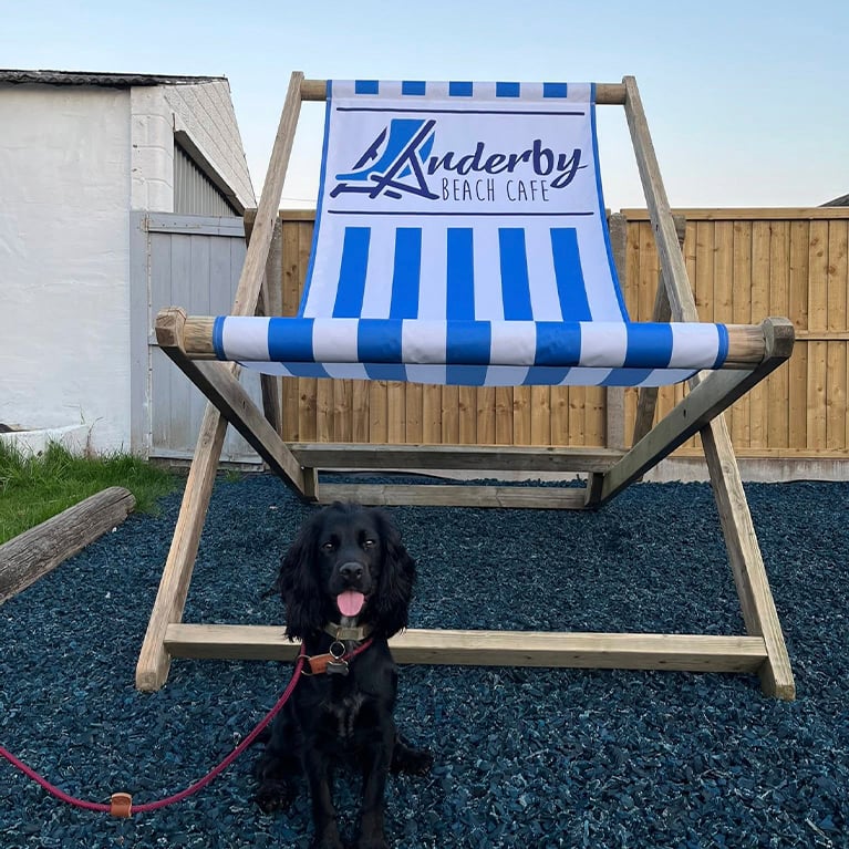 Anderby Creek Beach Deck Chair Anderby Creek Beach Deck Chair