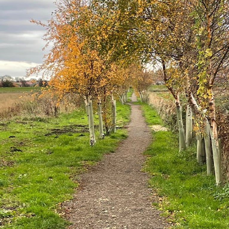 Cherry Fields Walk Cherry Fields Walk