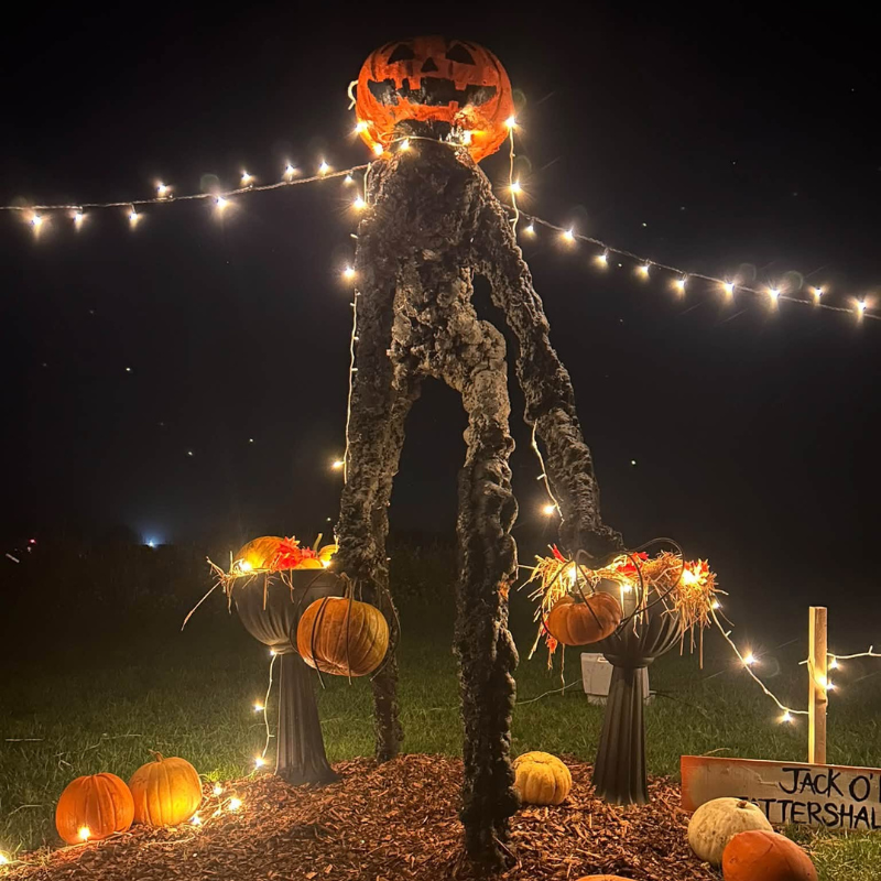 Tattershall Pumpkin Patch 3 Tattershall Pumpkin Patch 3