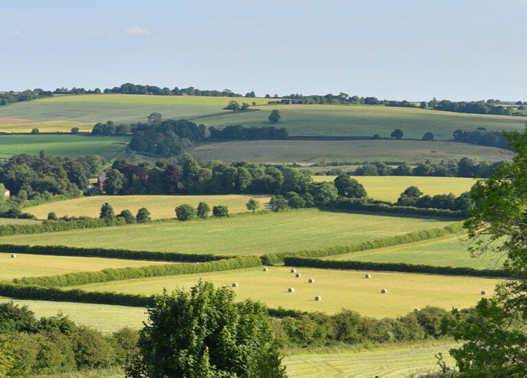 Red hill nature reserve wolds walks blog header Red Hill Nature Reserve