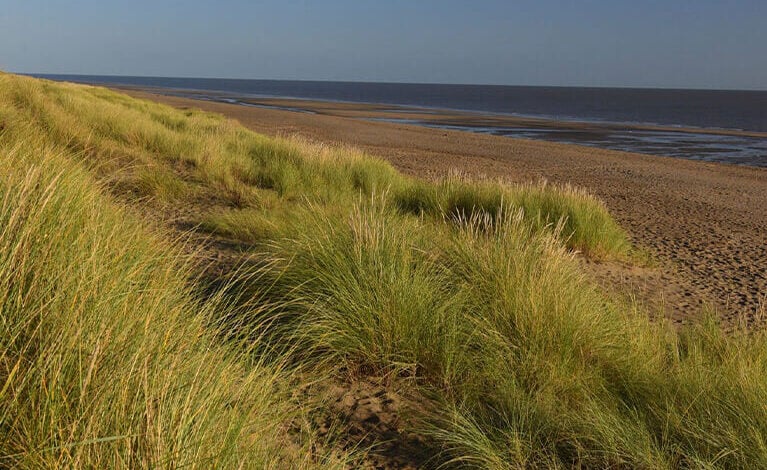 Sandilands-dunes Sandilands-dunes