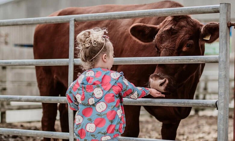 Rand Farm meet the animals Rand Farm meet the animals