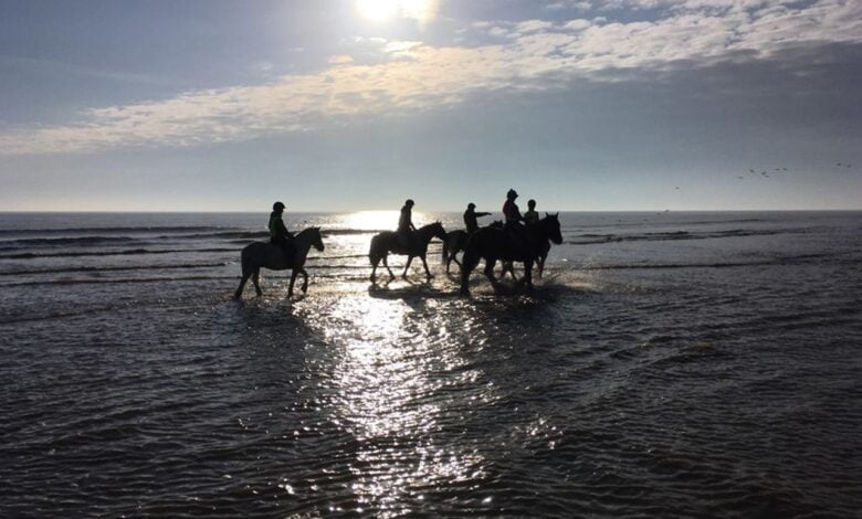 Orchard Farm Orchard Farm