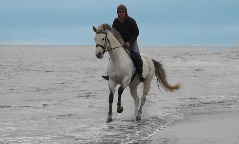 Orchard Farm Orchard Farm