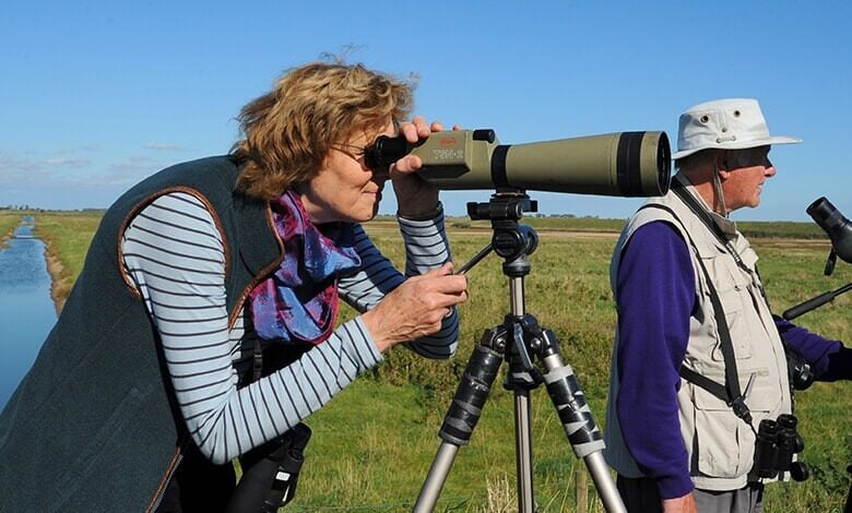 Frampton Marsh birdwatchers Frampton Marsh birdwatchers
