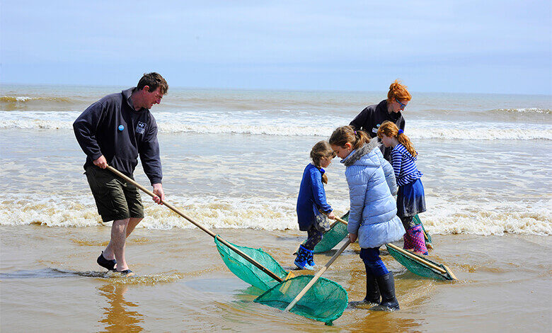 Lincolnshire Wildlife Trust Lincolnshire Wildlife Trust