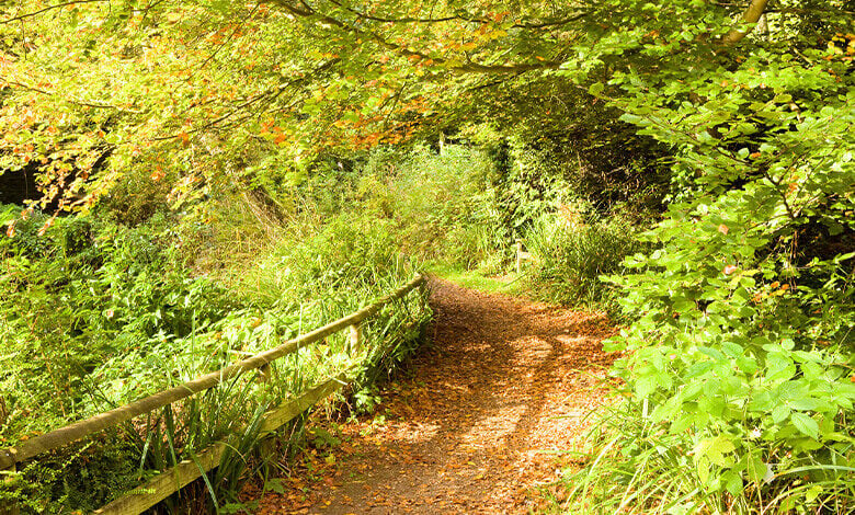 Normanby Hall Park Run Normanby Hall Park Run