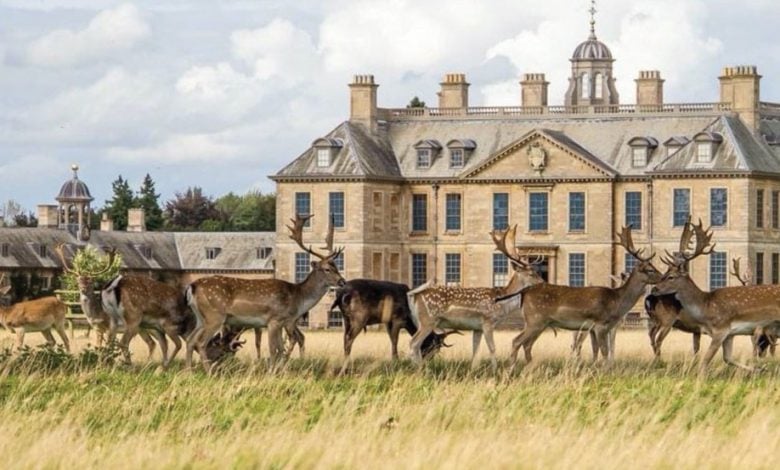 Belton House Belton House