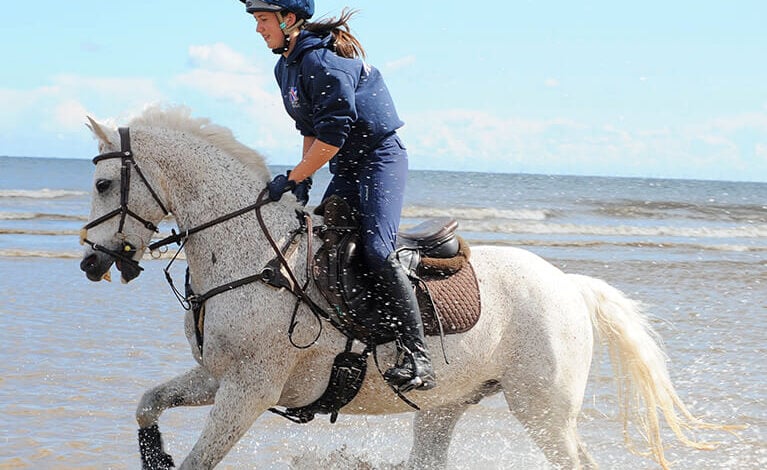 Horse Riding Anderby