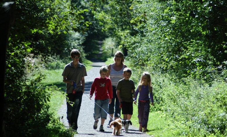 Bourne walks Bourne walks