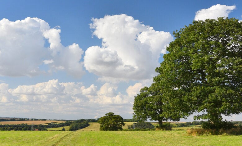 Caistor Walks Caistor Walks