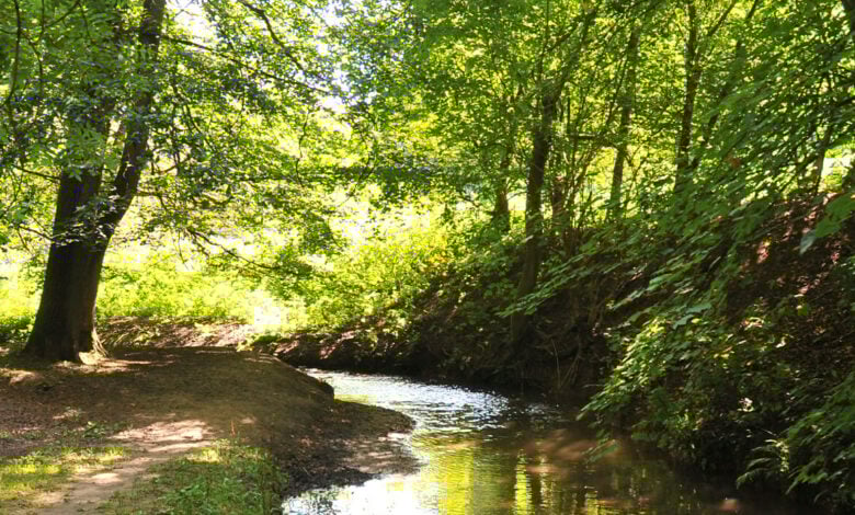 Louth Walks Louth Walks