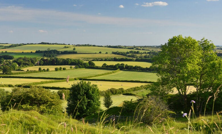 Red Hill Nature Reserve Red Hill Nature Reserve