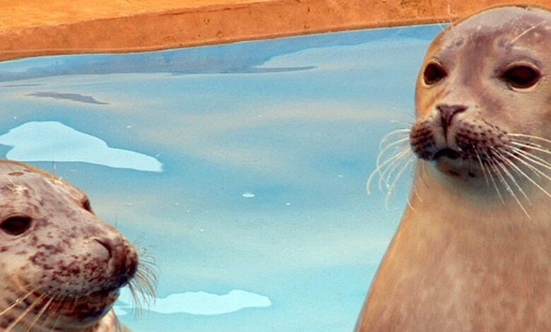 Natureland Seal Sanctuary