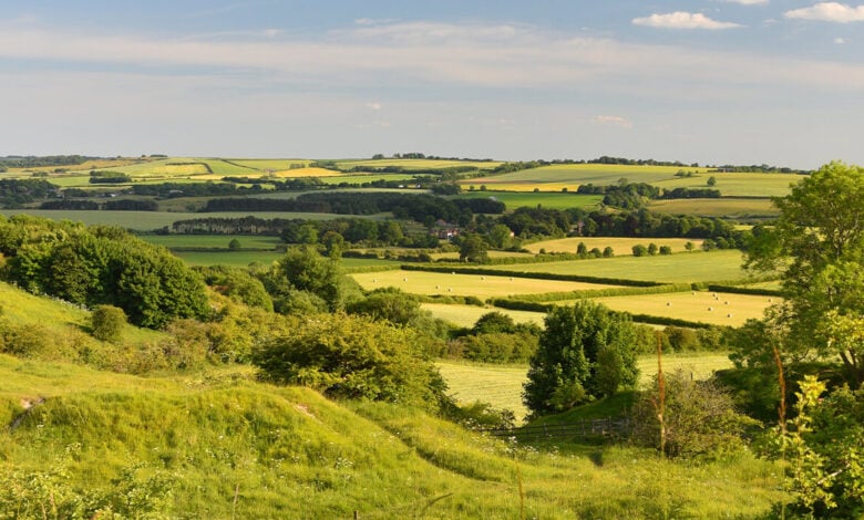 Red Hill Nature Reserve