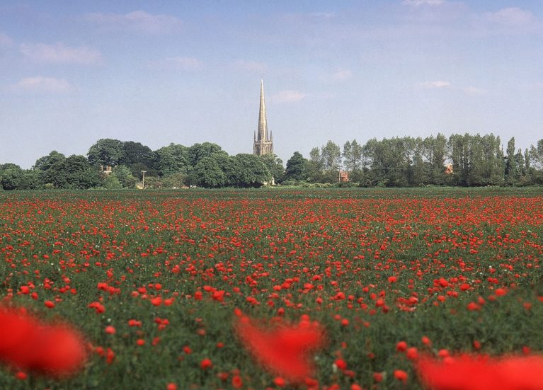 Poppy field in lincolnshire vls feature image