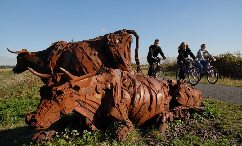 Cow sculptures on the Water Rail Way