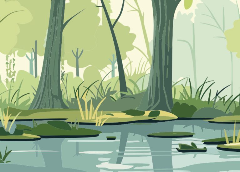 Nature Notes for Children backdrop. Wetland scene.