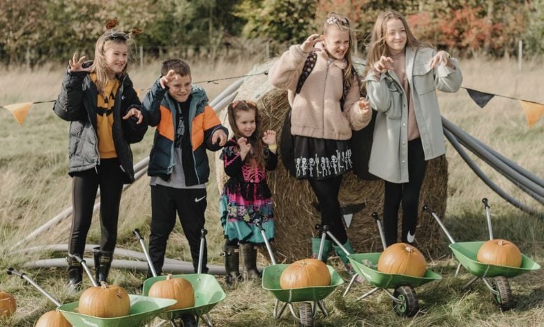 Pumpkin Picking October Half Term