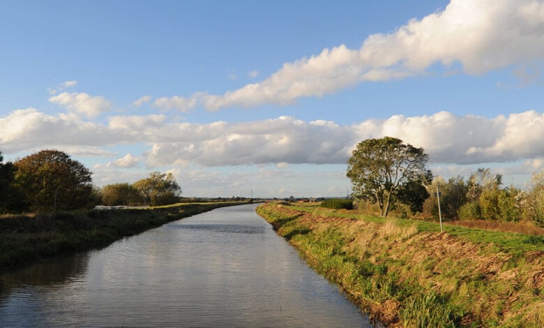 River Steeping, Waifleet