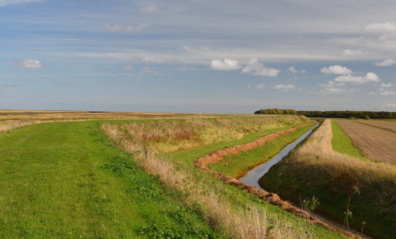 Holbeach Long Horse route