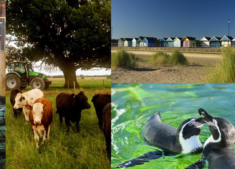 Things to do with small children header