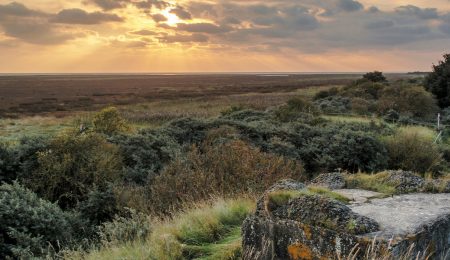 Pill box by the coast