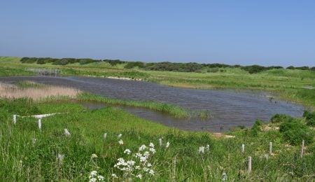 The new Sandilands Nature Reserve (NT) Lincolnshire Coast (3)-fotor-2026092813445