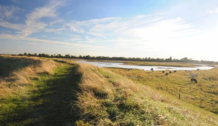Freiston Shore