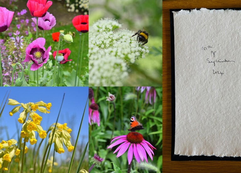 Catkin Workshop Experience Blog Header