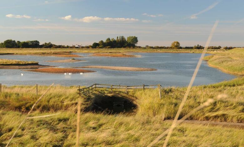 Freiston Shore field Freiston Shore field