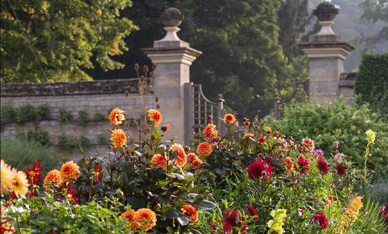 Easton Walled Gardens Dahlias