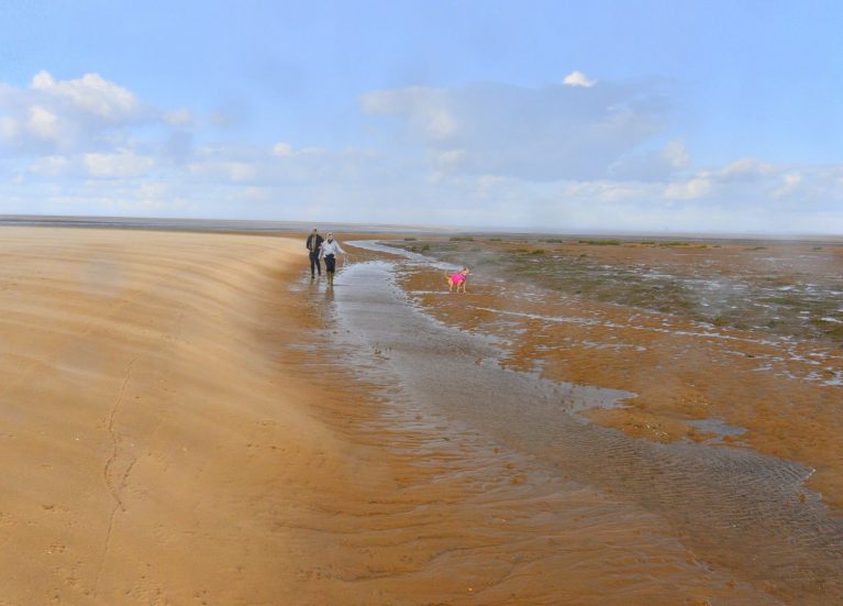 A wide landscape picture of the Lincolnshire coast, sand, sea and sky. Small in the middle are two people walking their dog in a pink jacket.