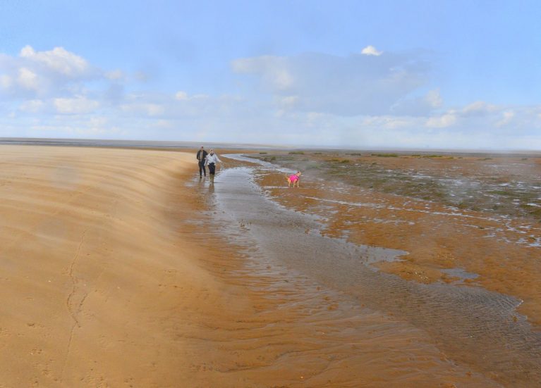 A wide landscape picture of the Lincolnshire coast, sand, sea and sky. Small in the middle are two people walking their dog in a pink jacket.