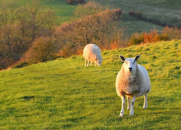 Lincolnshire Wolds