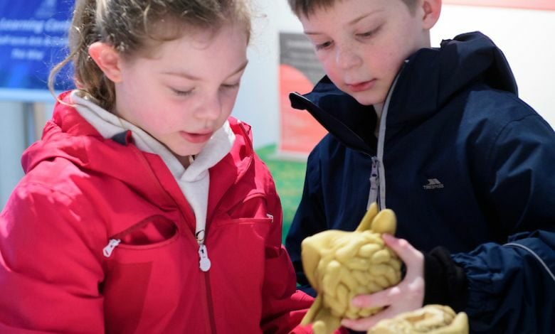 Children at the Discover Centre at Lincoln Cathdral with Lincoln Imp