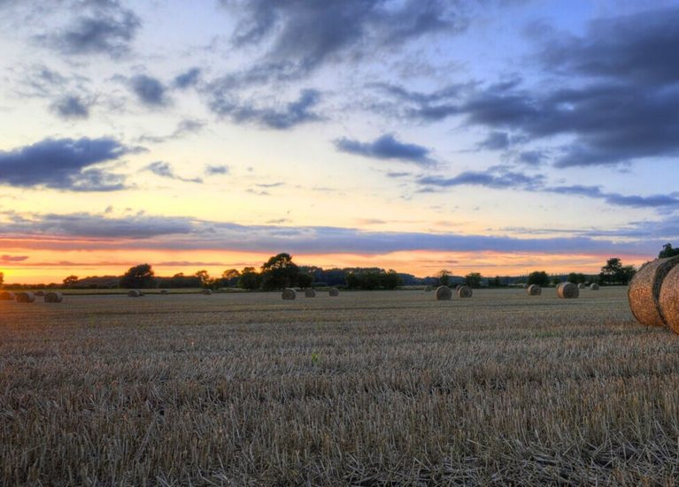 Lincolnshire Wolds ANOB 50th anniversary