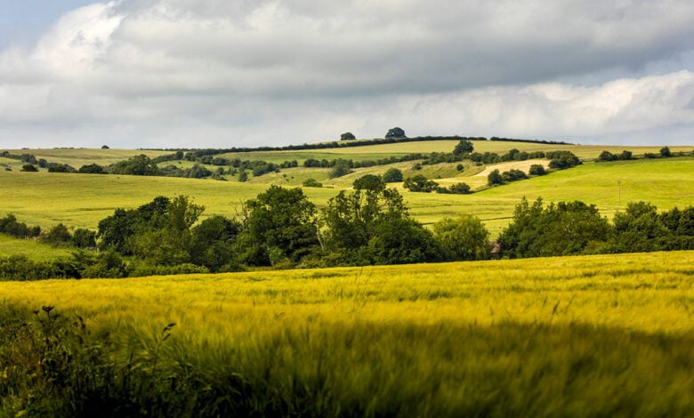 The Lincolnshire Wolds The Lincolnshire Wolds