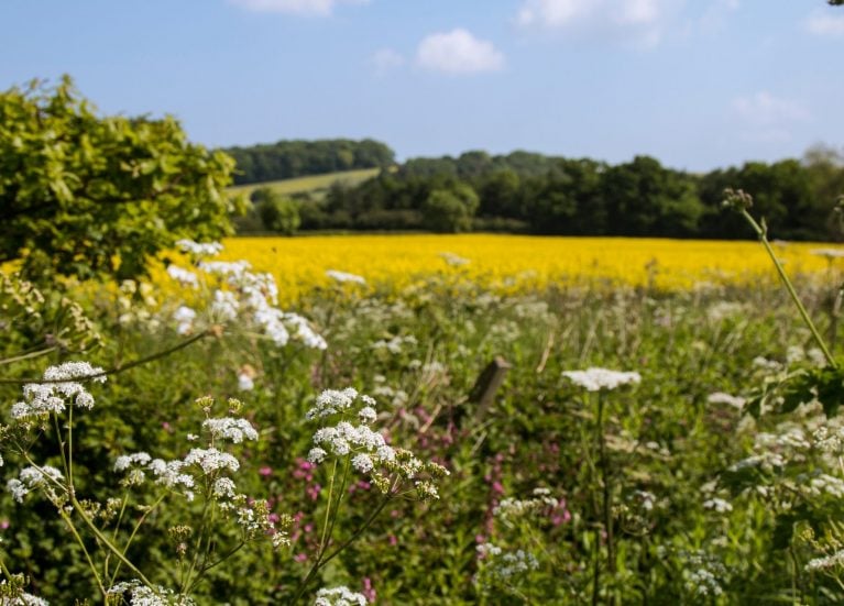 Lincolnshire Countryside