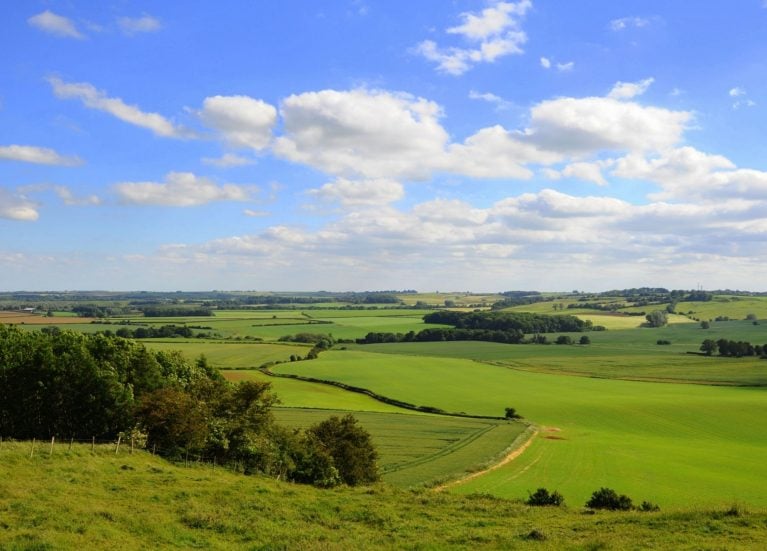 Bluestone Heath