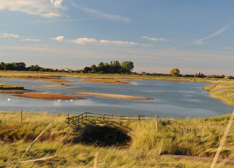 Freiston Shore