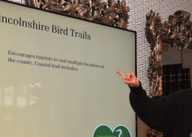 Lucy Lapwing blog header